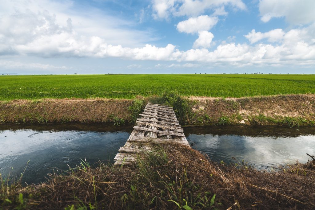 Hortobágy Nemzeti Park
