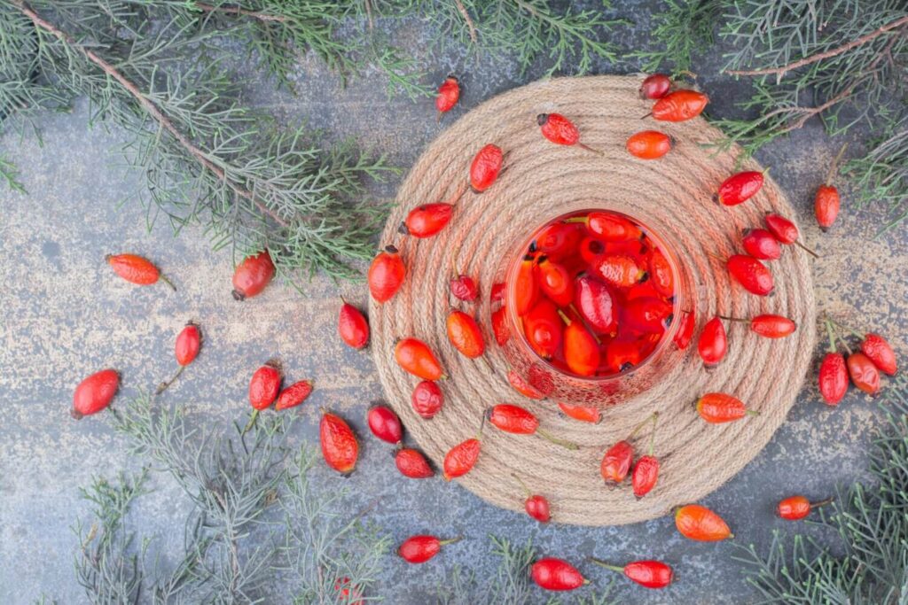 A csipkebogyó és az aszkorbinsav-koncentráció elfeledett csodája